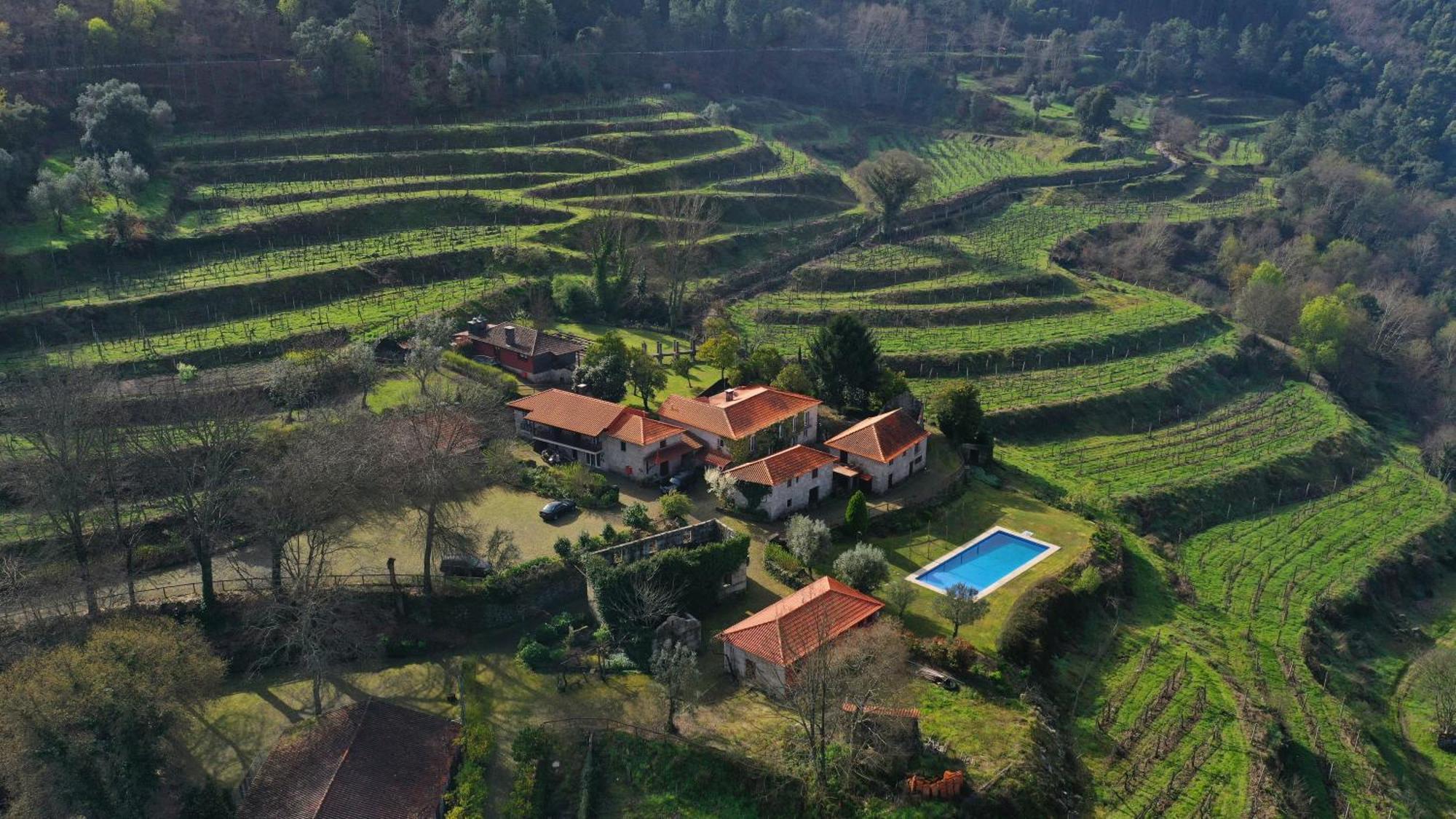 Quinta Da Pousadela - Agroturismo อามารังติ ภายนอก รูปภาพ